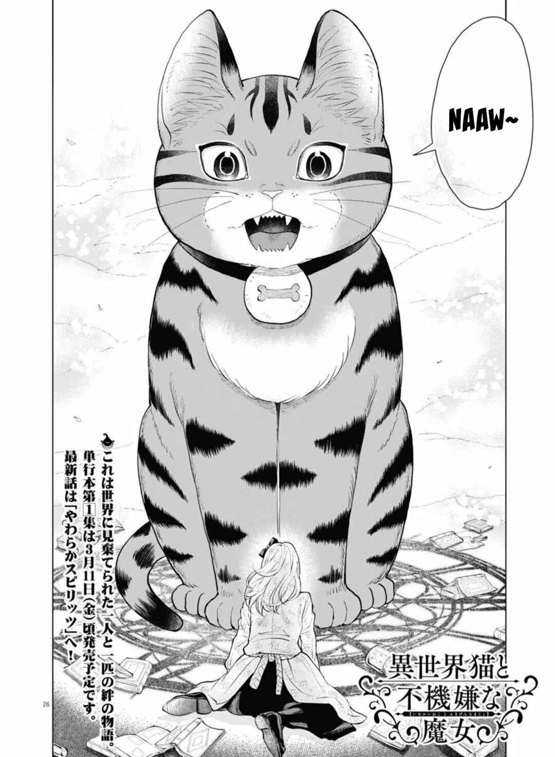 Isekai Neko to Fukigen na Majo Chapter 5 - Page 27