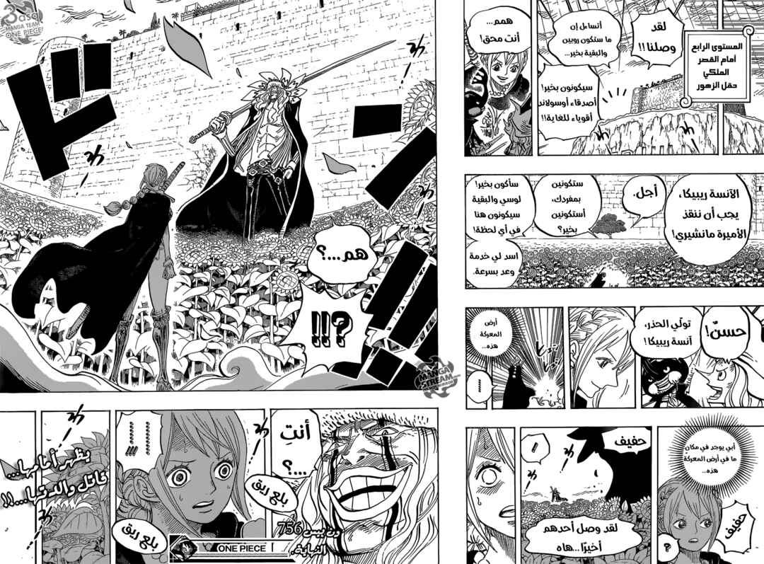 One Piece Chapter 756 - Page 17