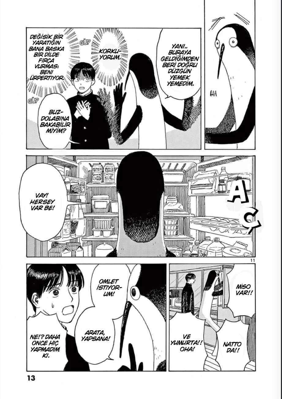 If you sing Kujima, the house will fall apart Chapter 1 - Page 12