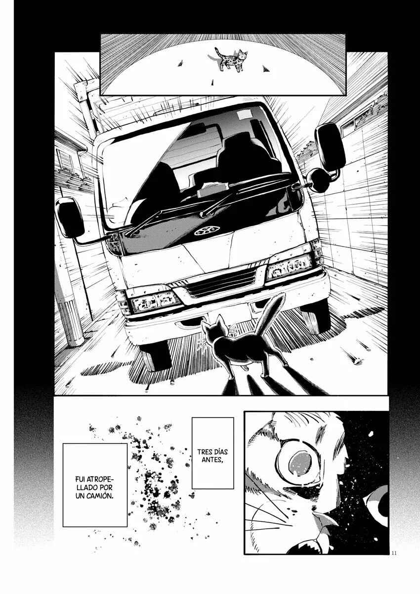 Isekai Neko to Fukigen na Majo Chapter 1 - Page 11