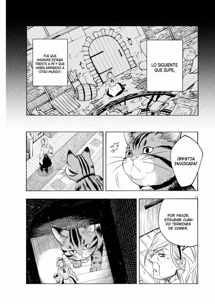 Isekai Neko to Fukigen na Majo Chapter 1 - Page 13