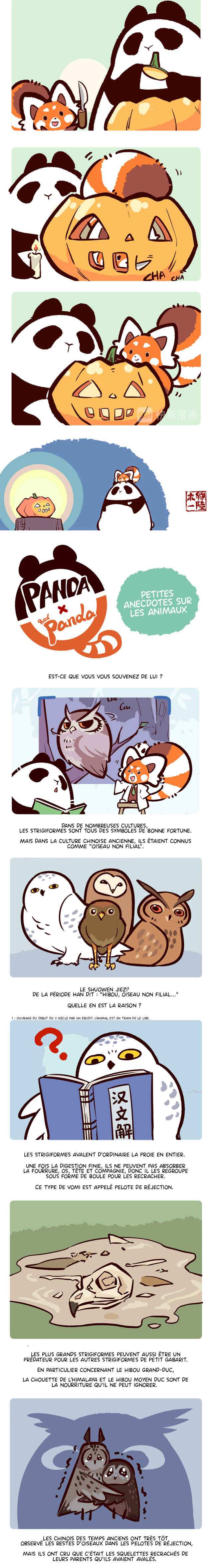 Panda x Red Panda Chapter 27 - Page 3