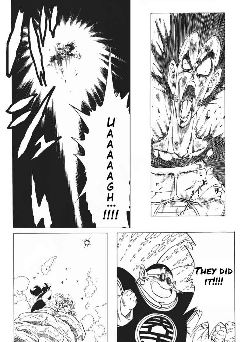 Dragon ball An Earth without Goku Chapter 28 - Page 22