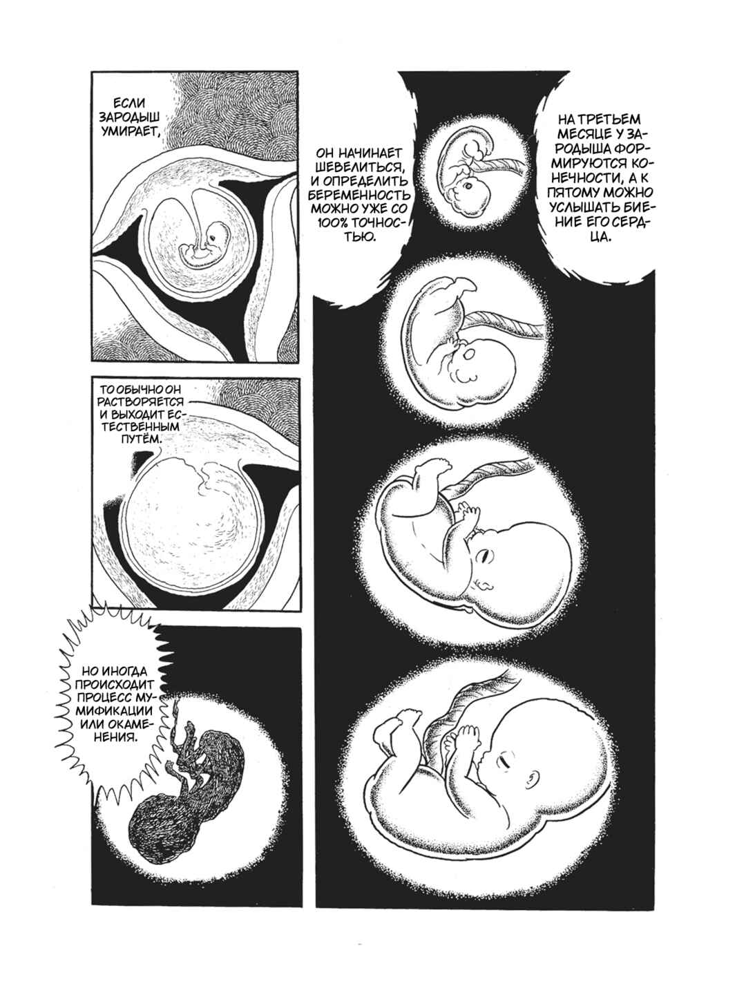 Black Jack Chapter 102 - Page 14