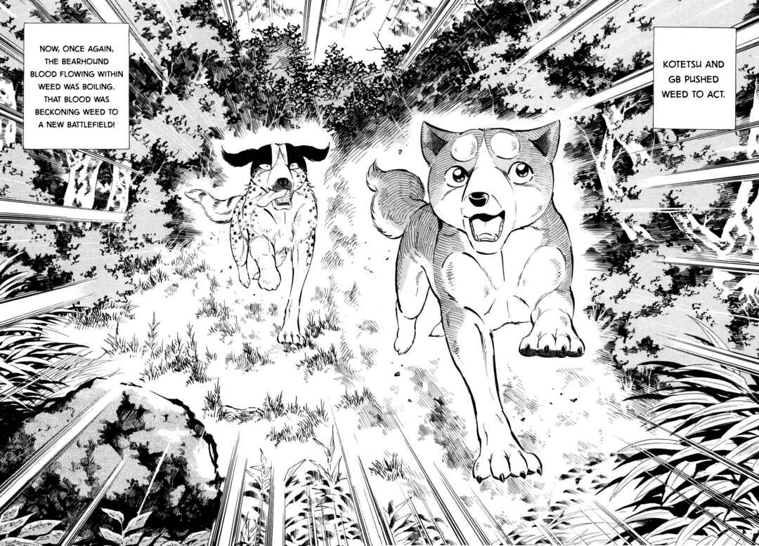 Ginga Densetsu Weed Chapter 353 - Page 20