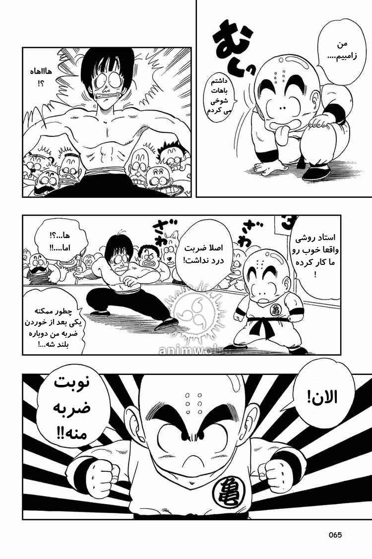 Dragon Ball Chapter 34 - Page 5