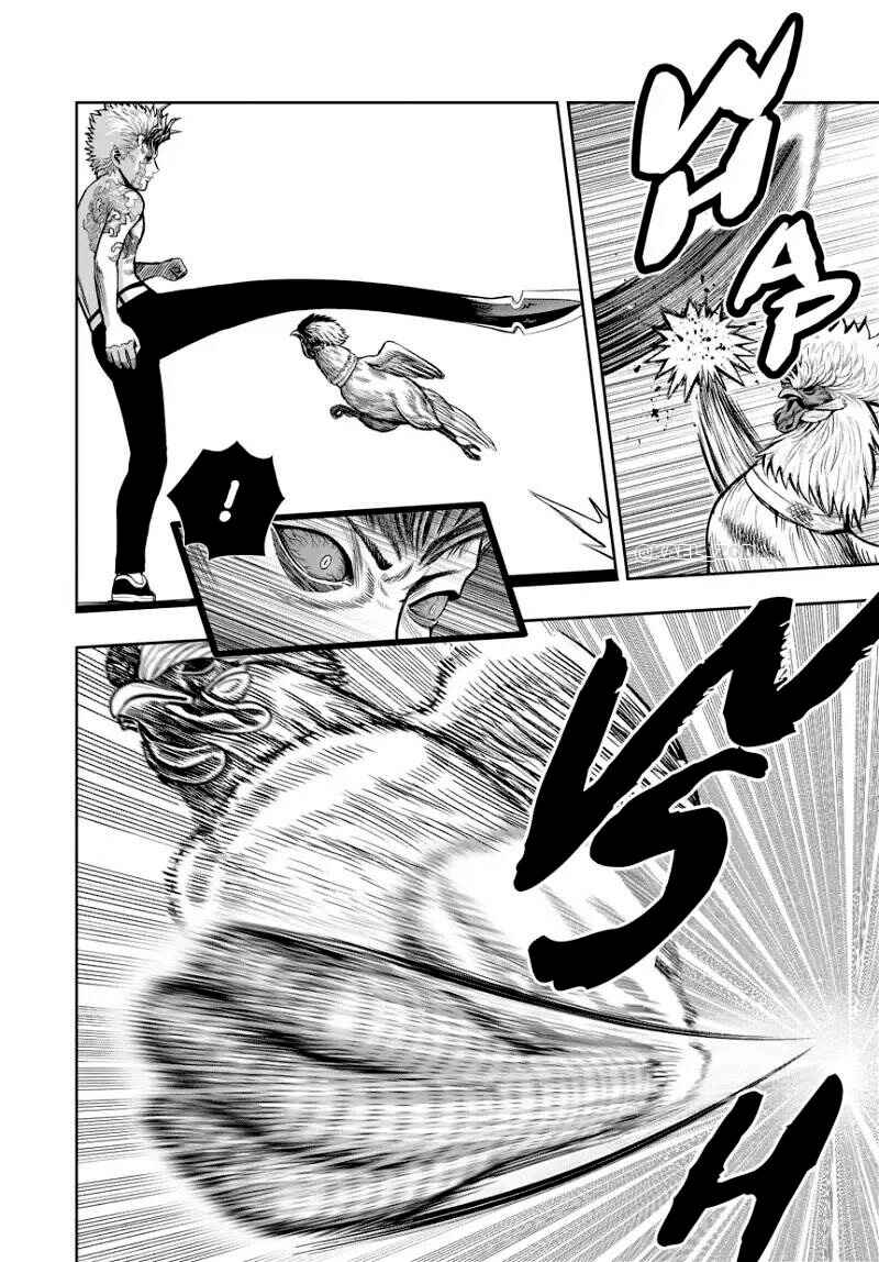 Niwatori Fighter Chapter 28 - Page 10