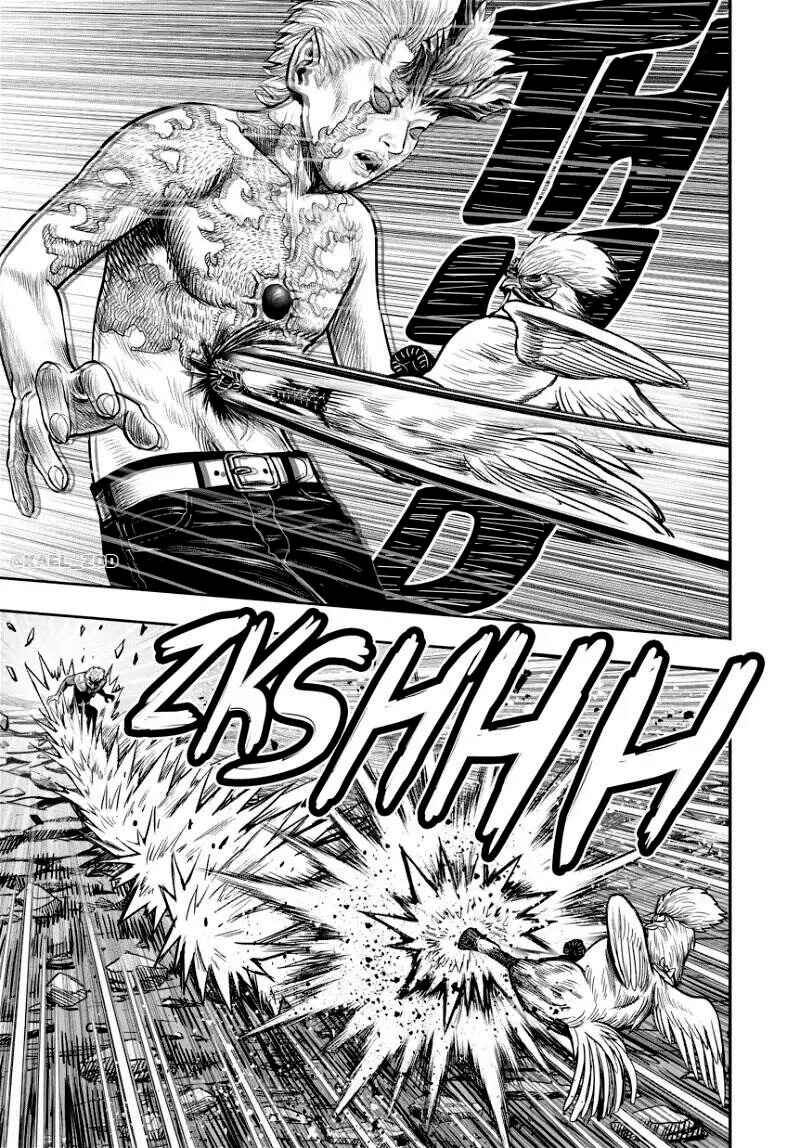 Niwatori Fighter Chapter 28 - Page 11
