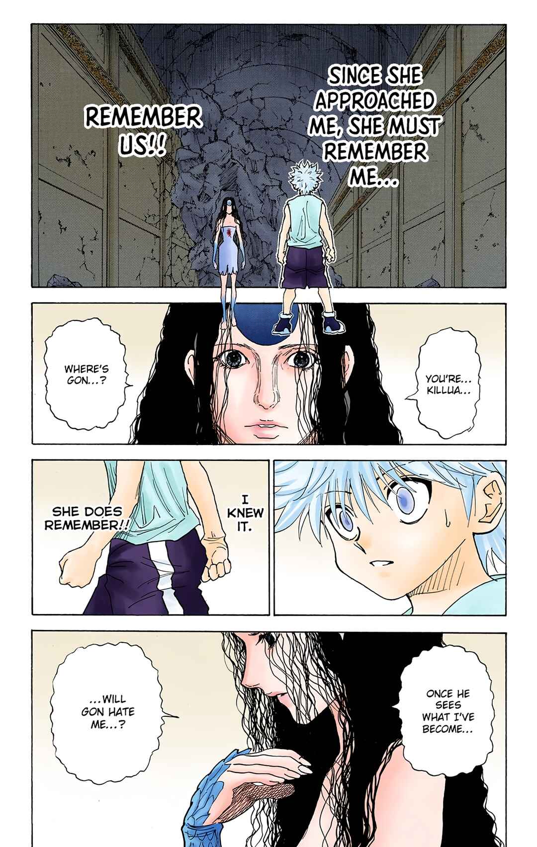 Hunter x Hunter (Official Colored) Chapter 293 - Page 9