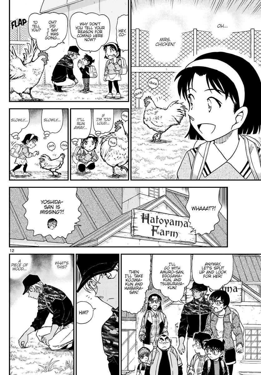 Detective Conan Chapter 1051 - Page 13