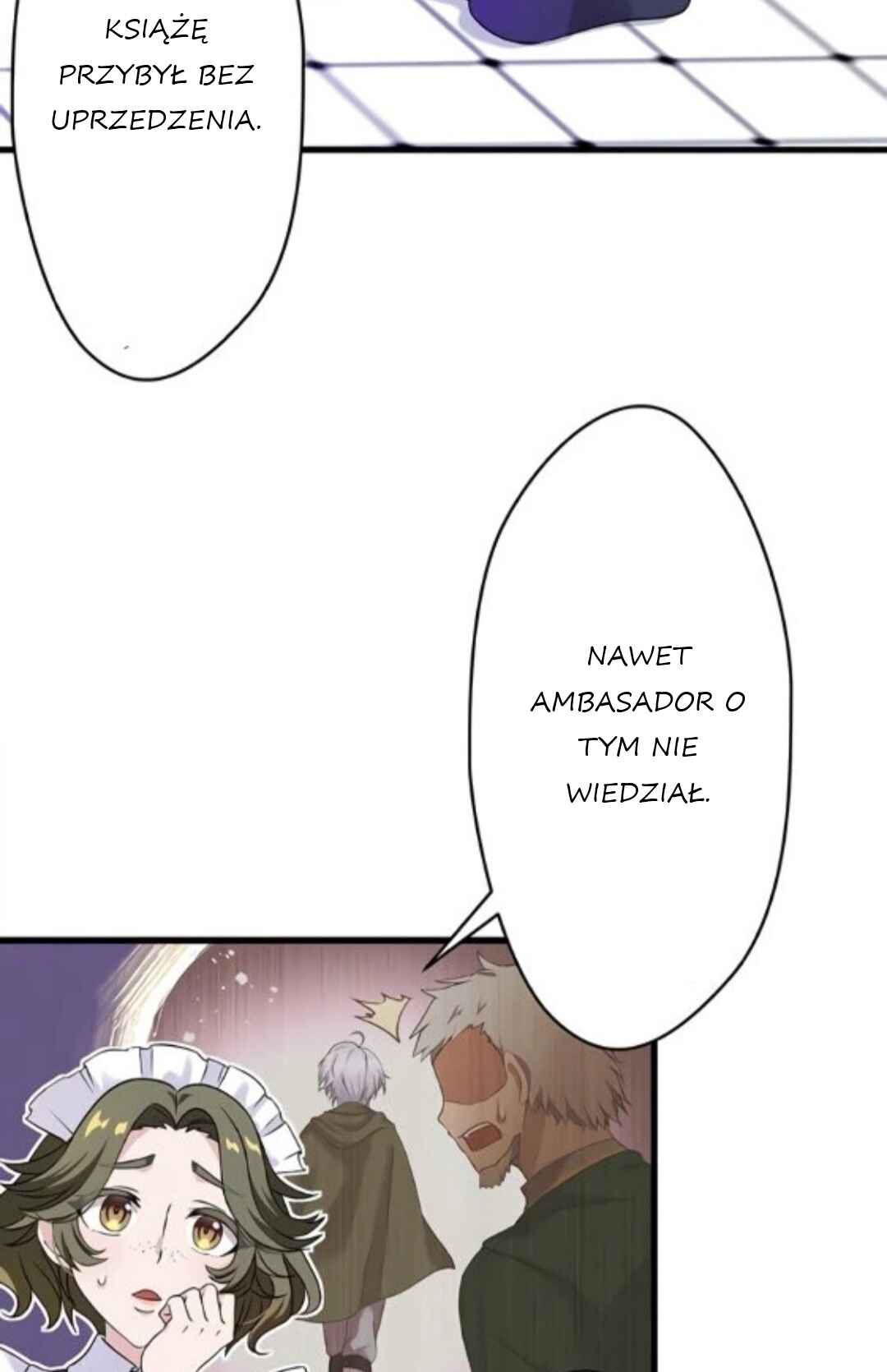 Densetsu no Ansatsusha, Tensei Shitara Ouke no Aisare Suemusume ni Natte Shimaimashite Chapter 10 - Page 3