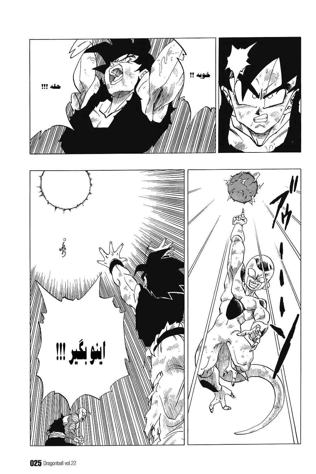 Dragon Ball Chapter 316 - Page 6