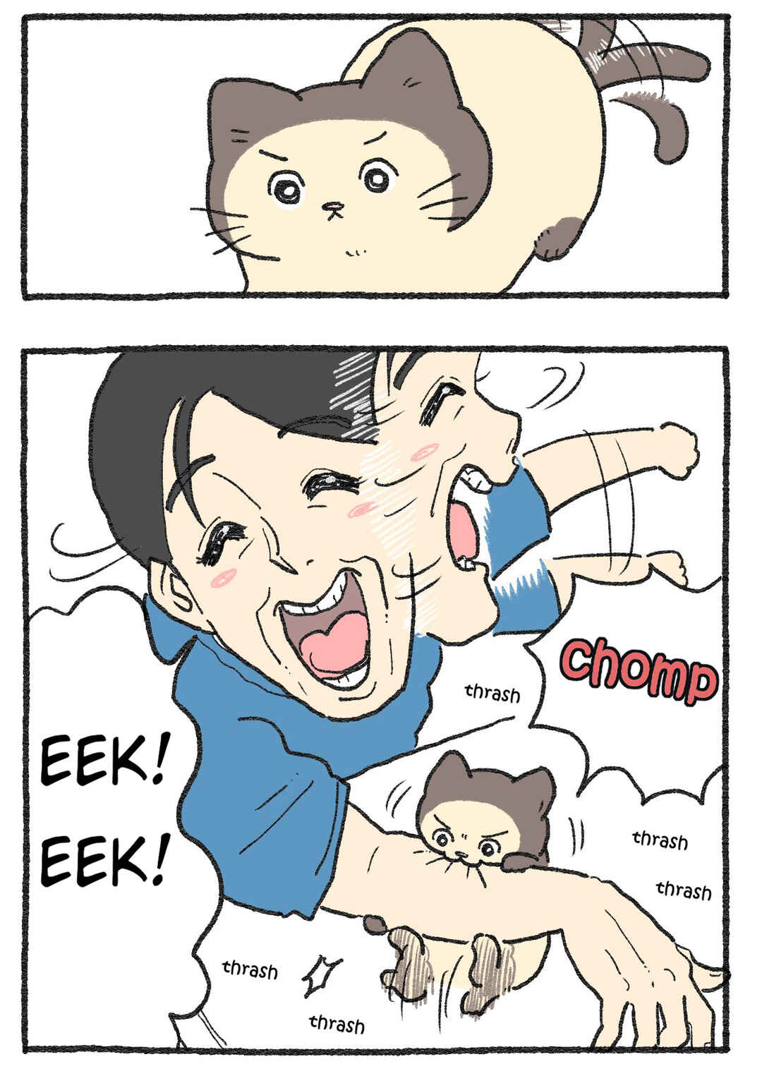 Neko Oji: Salaryman reincarnated as a kitten! Chapter 565 - Page 2