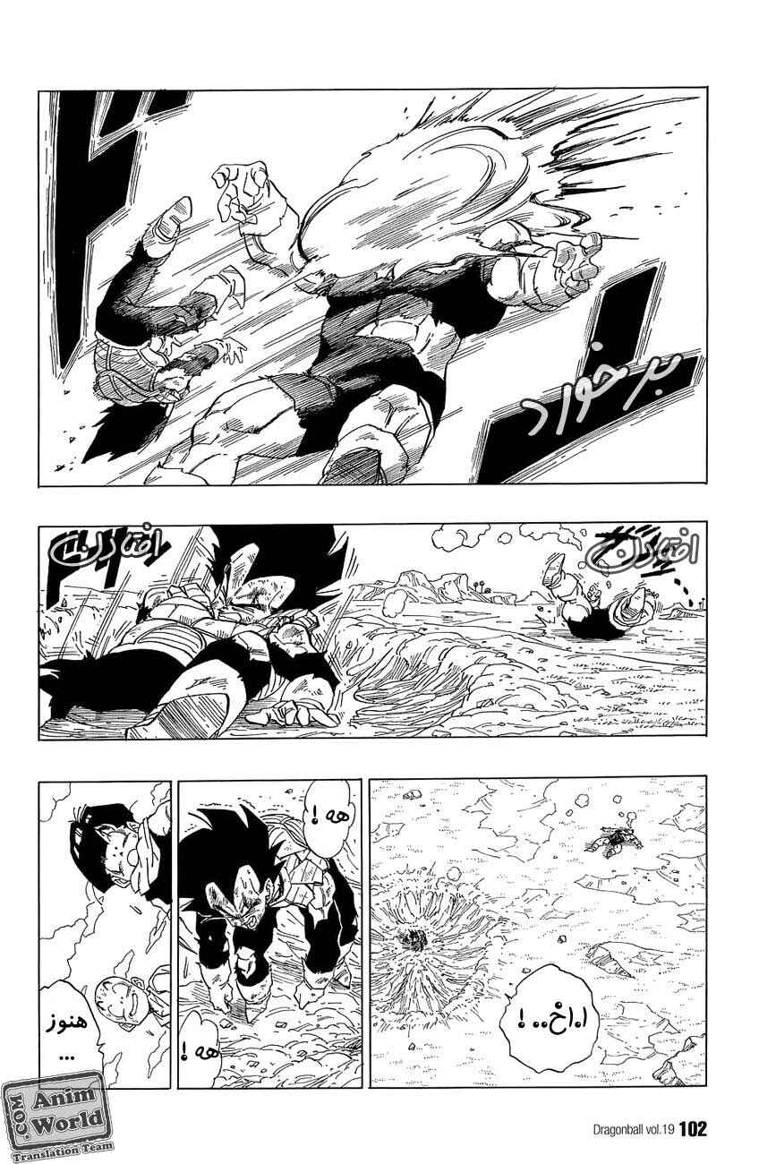 Dragon Ball Chapter 276 - Page 12