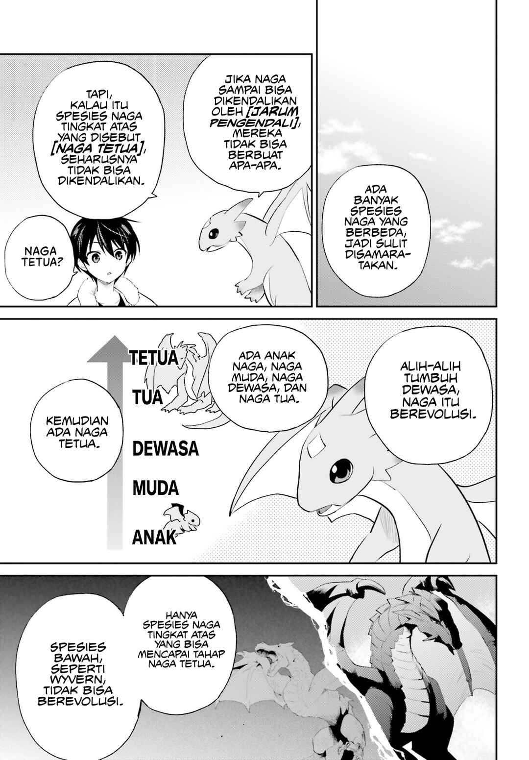 Isekai wa Smartphone to Tomo ni Chapter 91 - Page 20