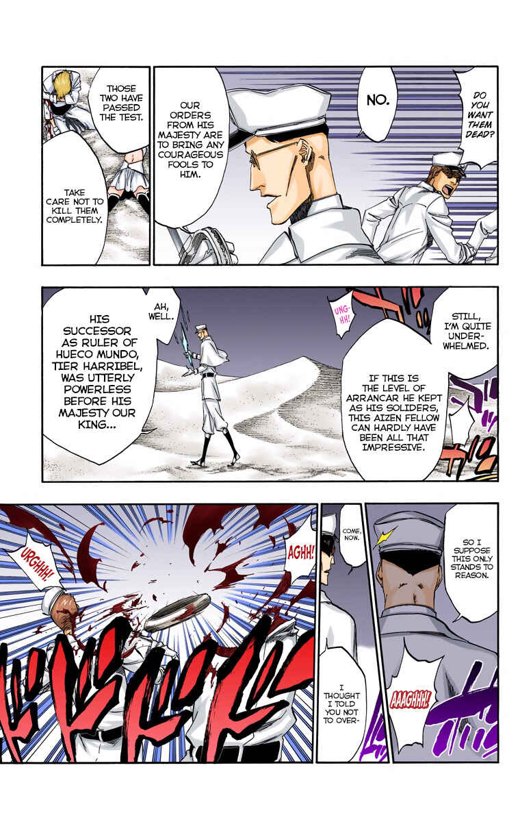 Bleach (Official Colored) Chapter 487 - Page 19