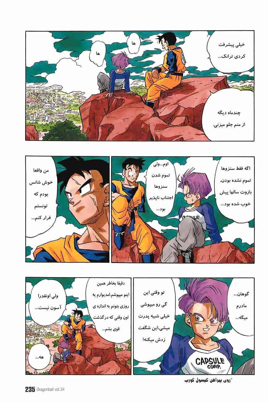 Dragon Ball Chapter 396.5 - Page 3