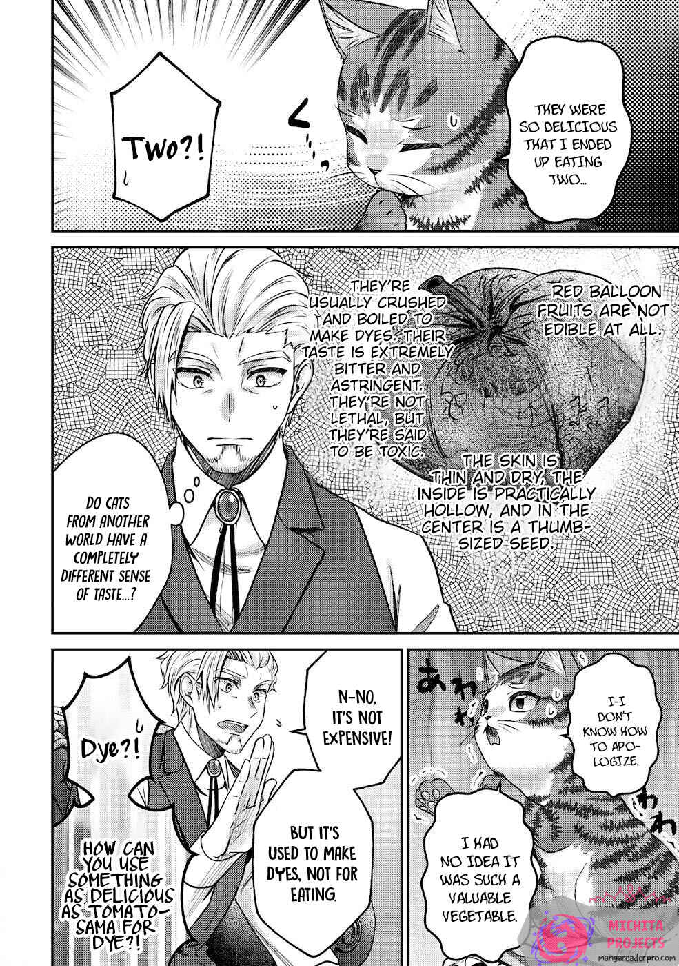 Wagahai wa Nekomadoushi de Aru: Kijitora Luke no Kaiteki Cheat Neko Seikatsu Chapter 3 - Page 27