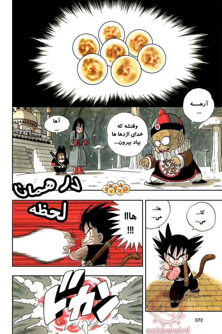 Dragon Ball Chapter 19 - Page 13