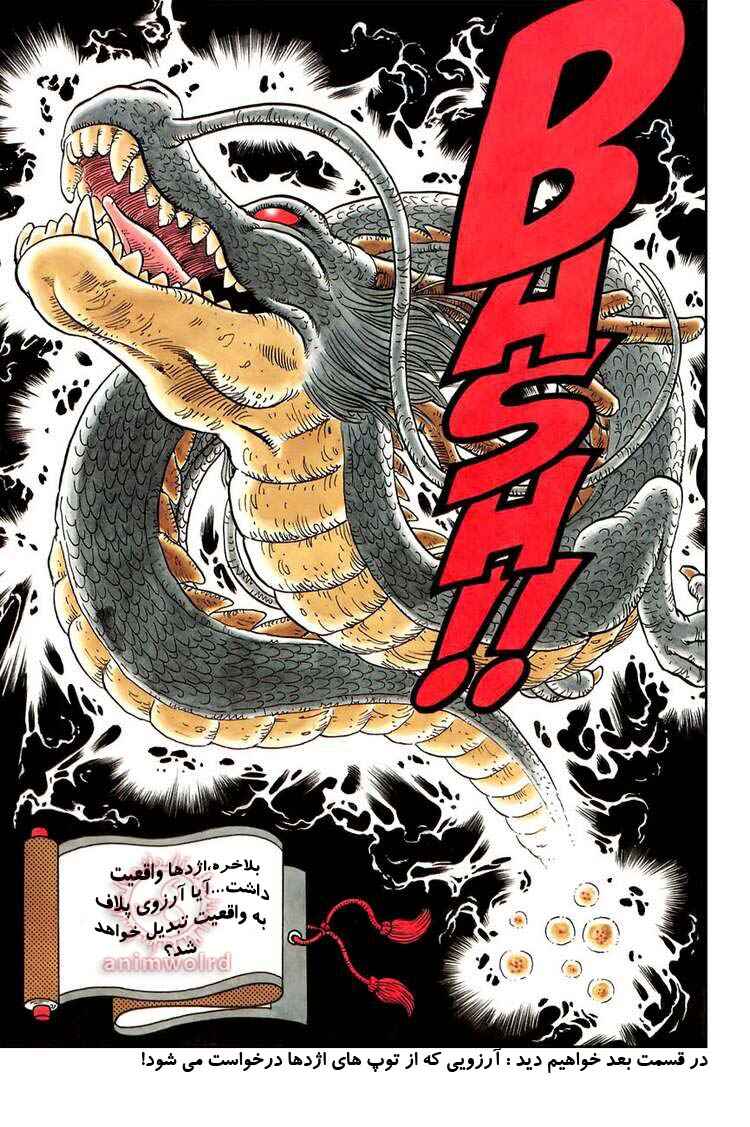 Dragon Ball Chapter 19 - Page 16