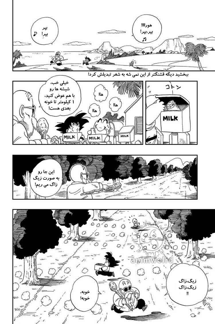 Dragon Ball Chapter 30 - Page 10
