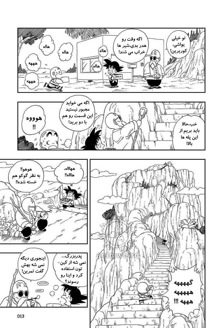 Dragon Ball Chapter 30 - Page 11