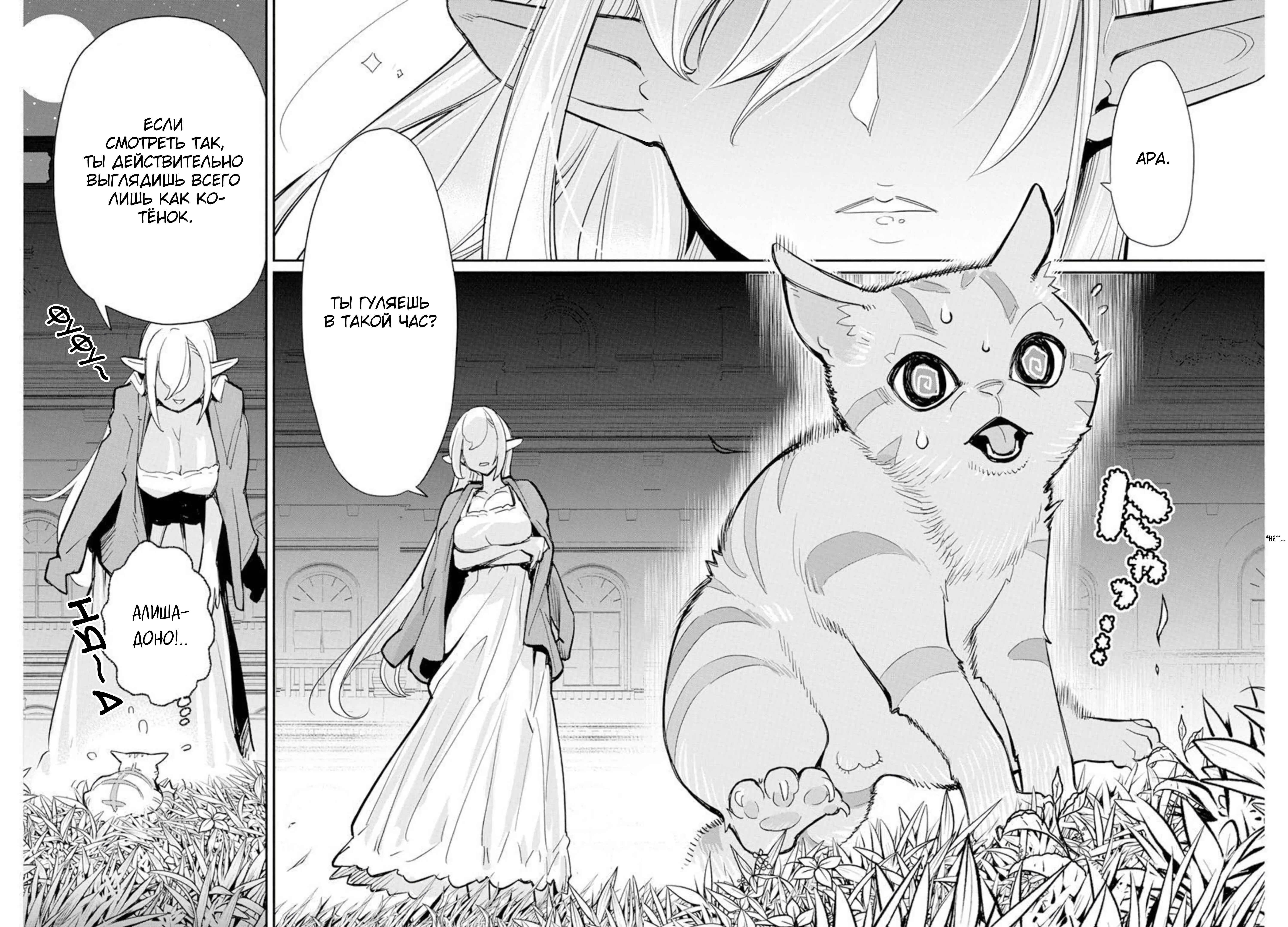 S-Rank Monster no "Behemoth" dakedo, Neko to Machigawarete Elf Musume no Pet to Shite Kurashitemasu Chapter 47 - Page 16