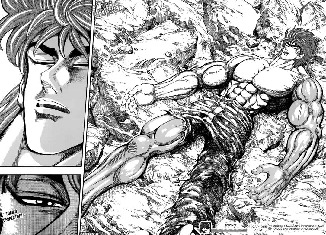 TORIKO Chapter 255 - Page 17