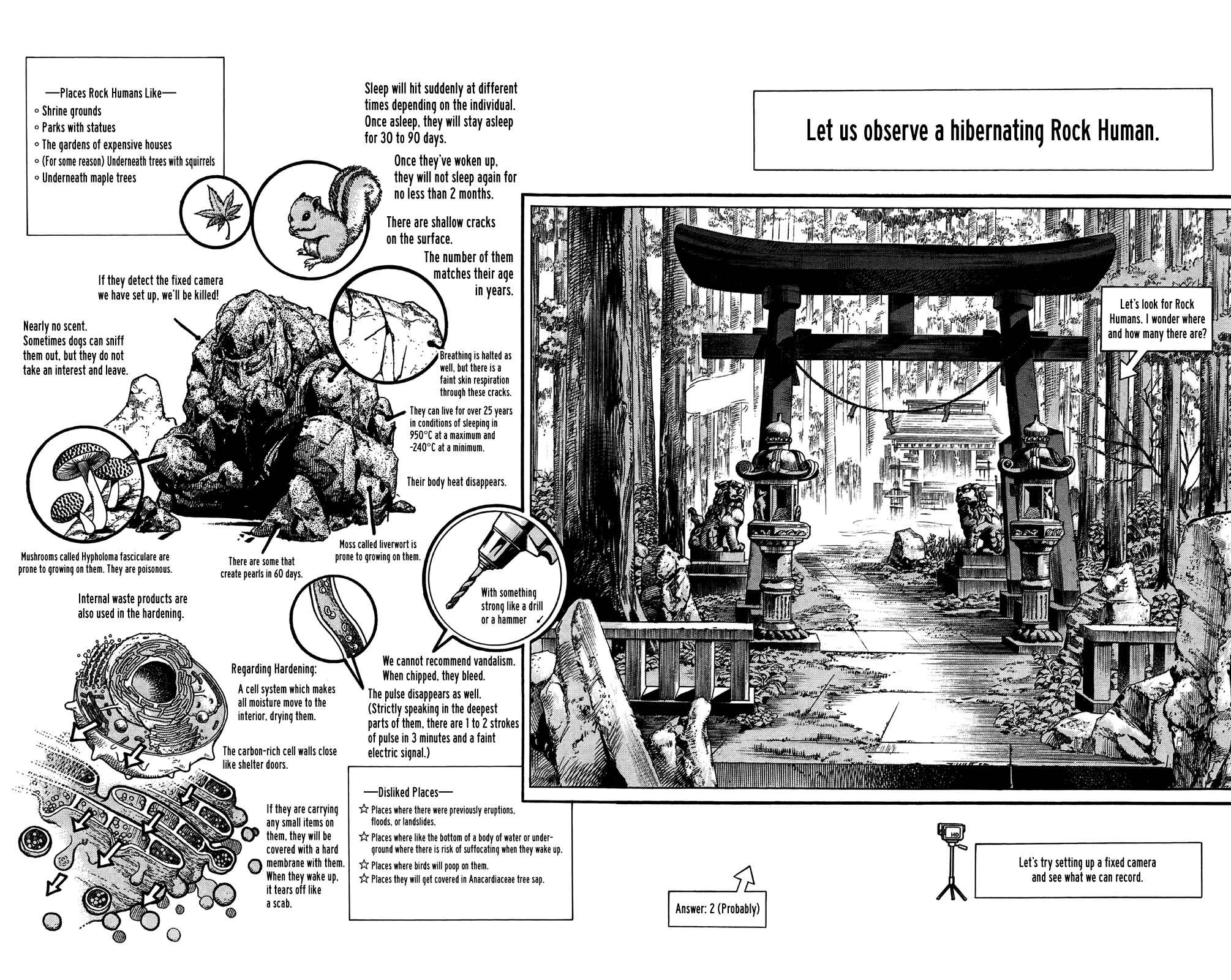 JoJo no Kimyou na Bouken: Part 8 - JoJolion Chapter 46 - Page 2