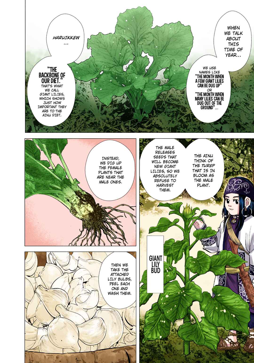 Golden Kamuy (Official Colored) Chapter 91 - Page 10