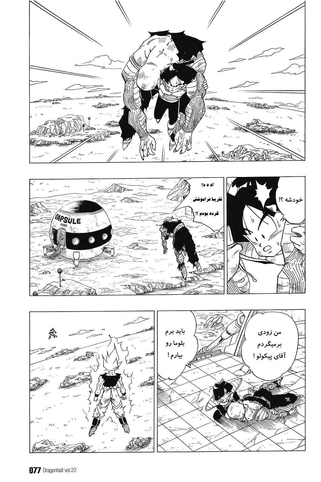 Dragon Ball Chapter 319 - Page 13