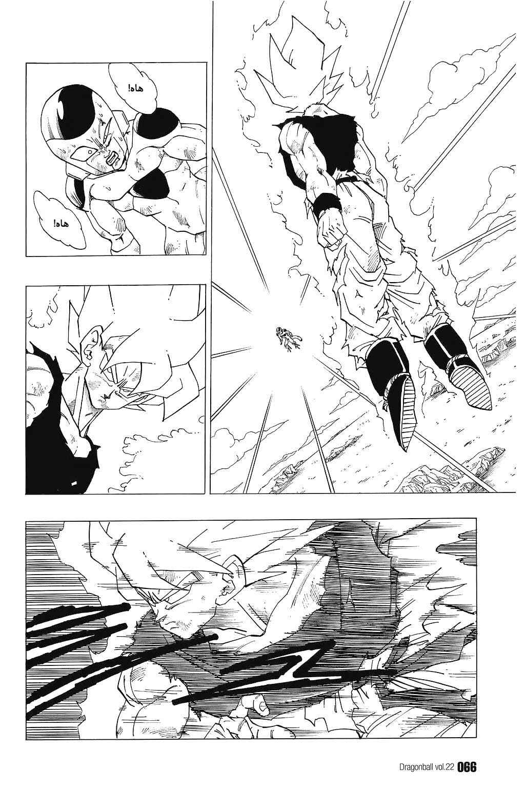 Dragon Ball Chapter 319 - Page 2