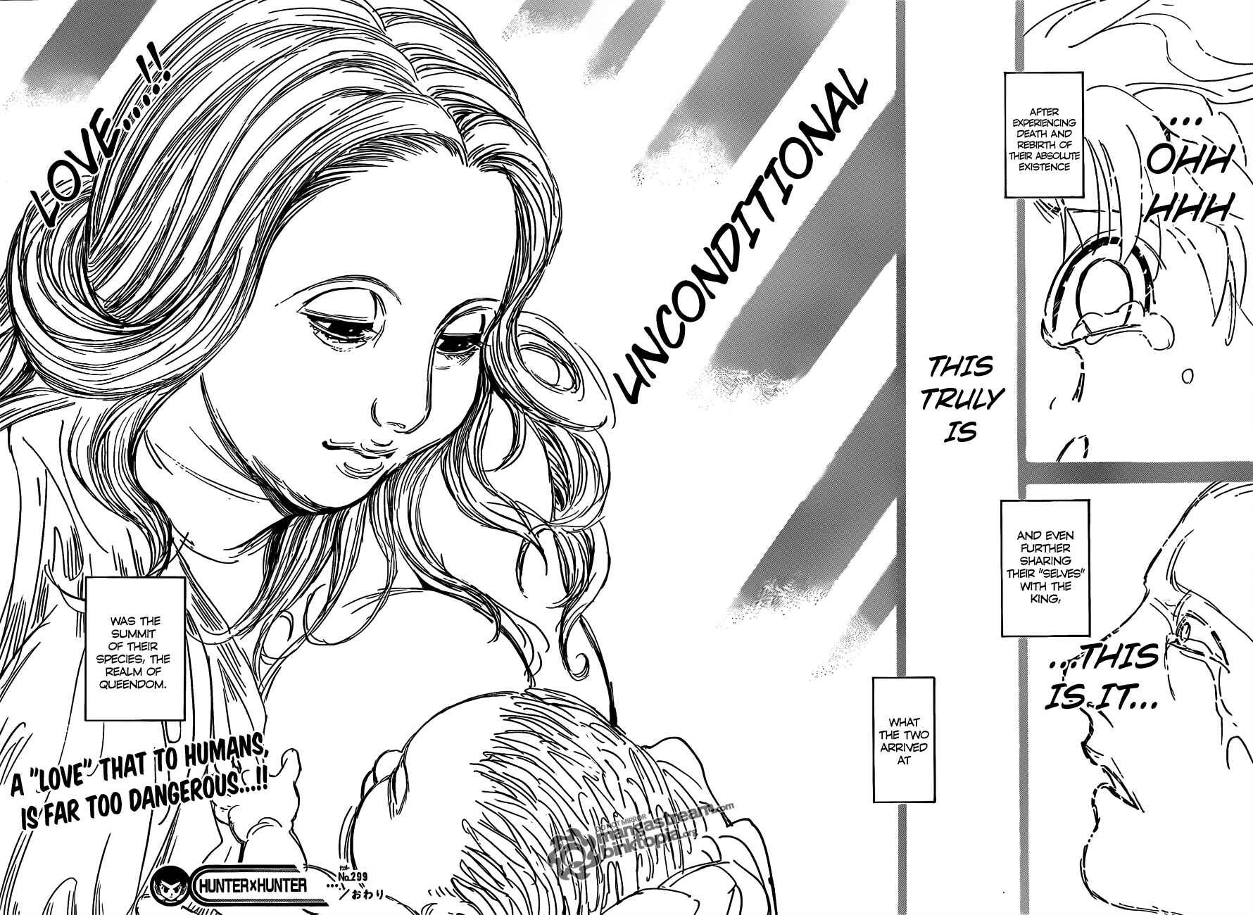 Hunter x Hunter Chapter 299 - Page 17