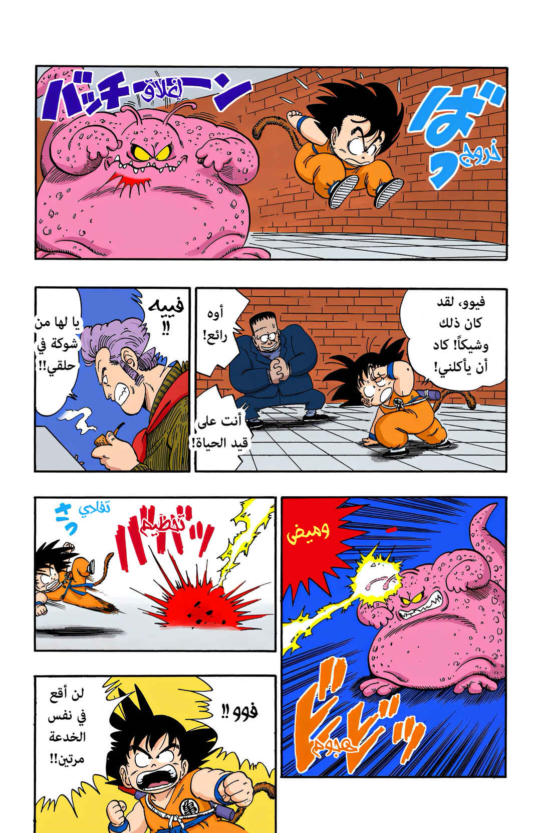 Dragon Ball (Official Colored) Chapter 64 - Page 13