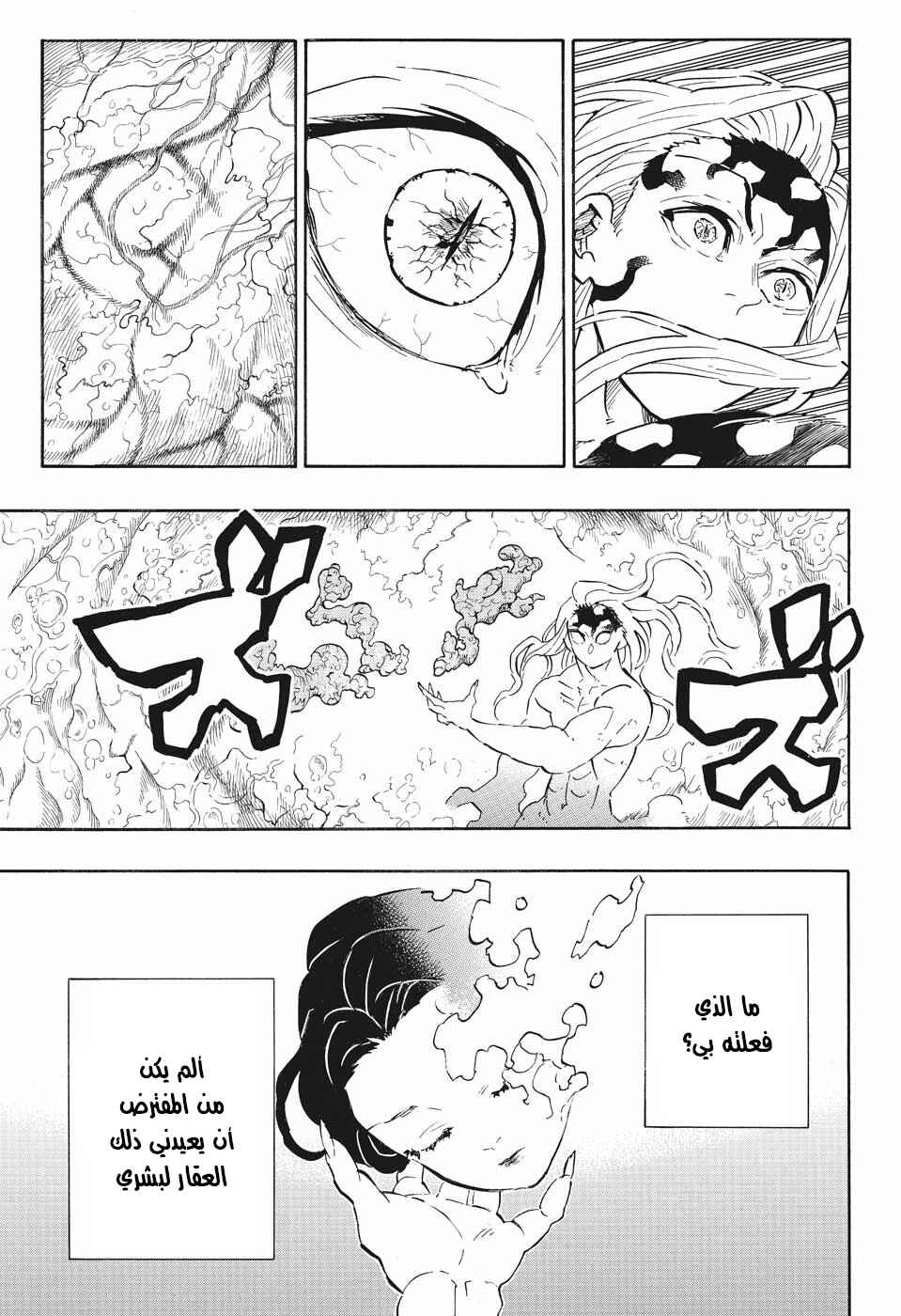 Demon Slayer: Kimetsu no Yaiba Chapter 193 - Page 14