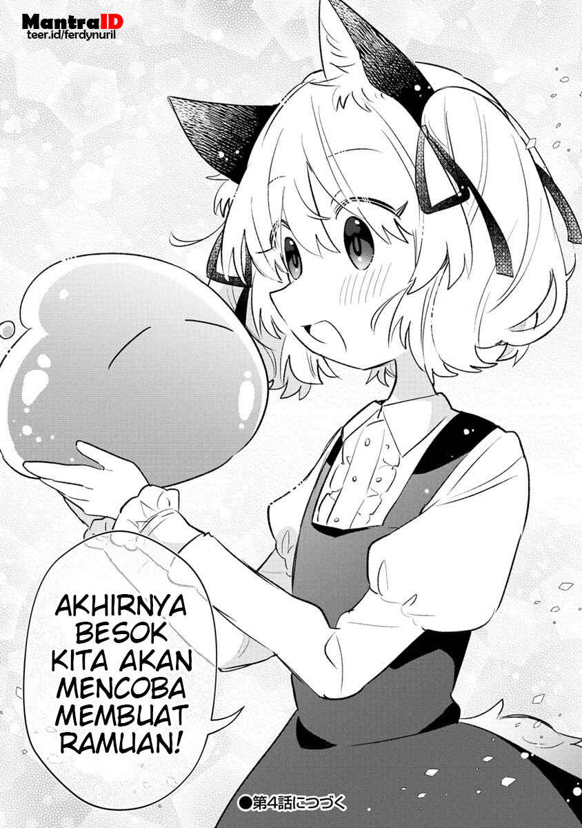 Nekomimi Shoujo wa Mori de Slow Life wo Okuritai ~Mofumofu wa Shomou Shimashita ga, Seijo to ka Ouji-sama to ka wa Chuumongai desu~ Chapter 3.2 - Page 12