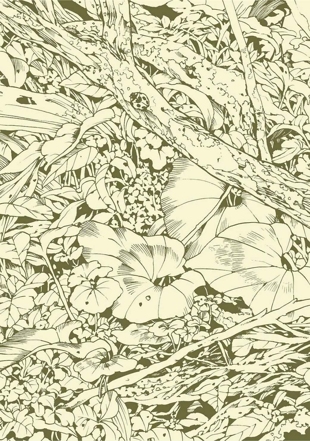 Hakumei to Mikochi Chapter 1 - Page 3