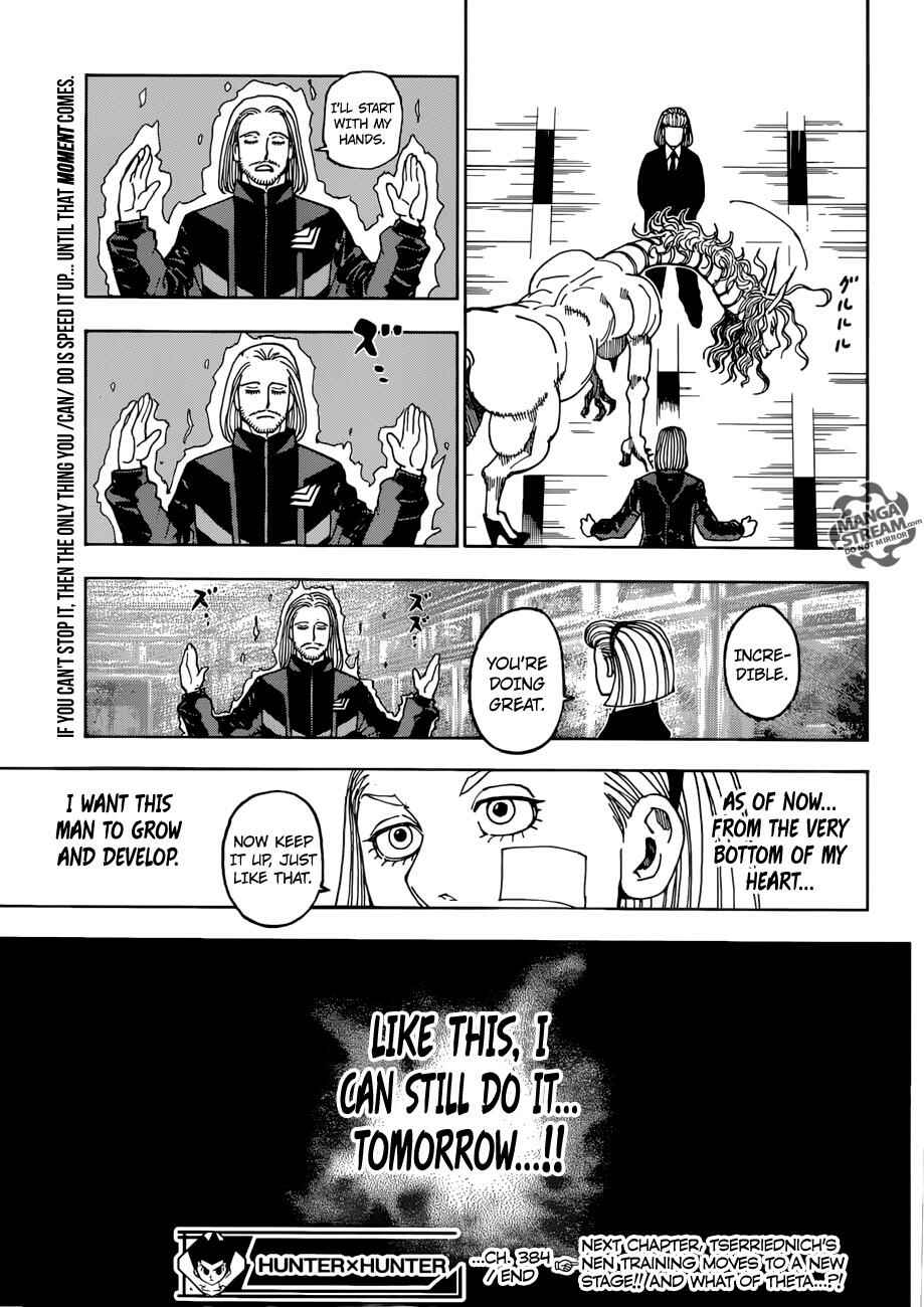 Hunter x Hunter Chapter 384 - Page 17