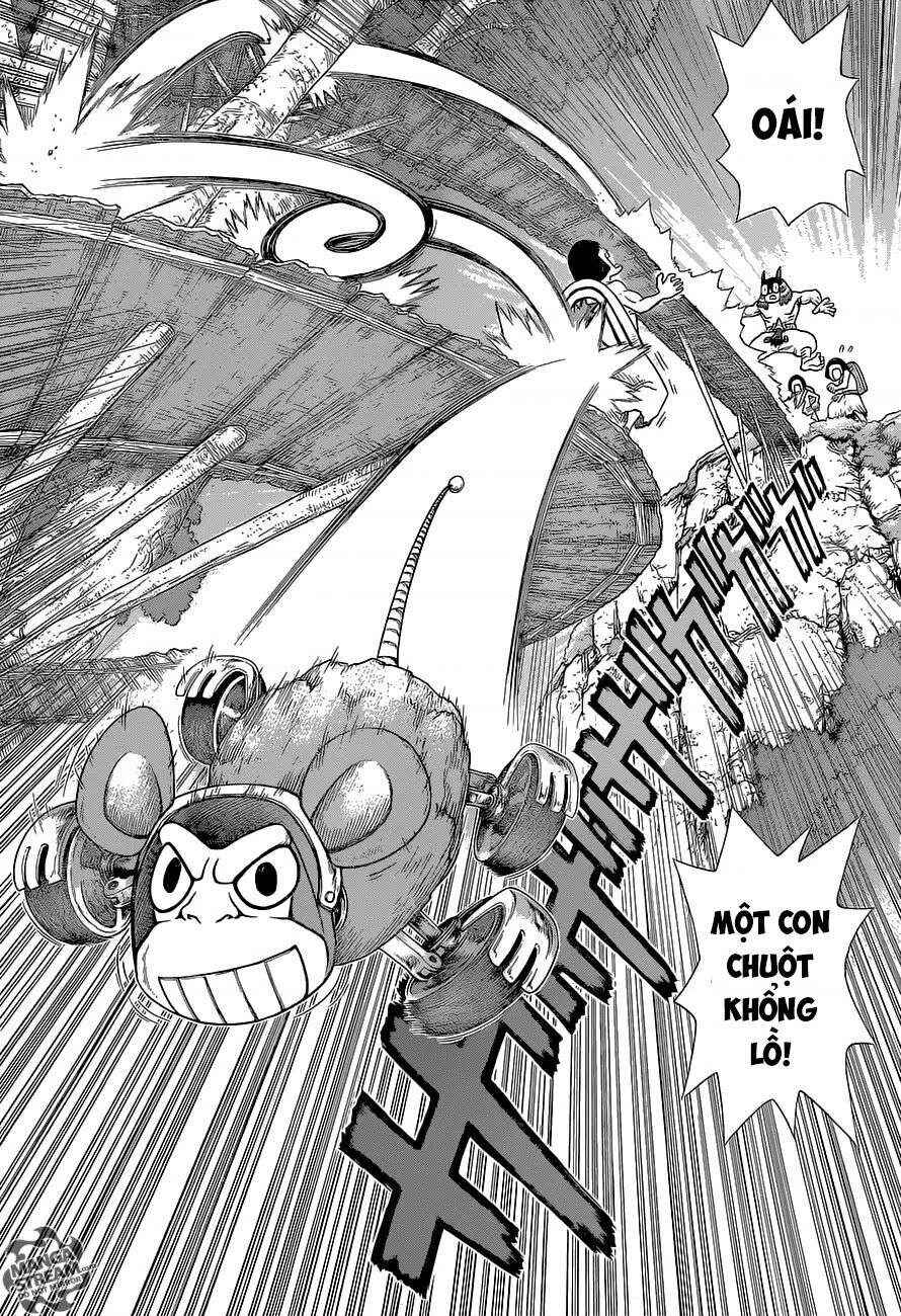 Dr.STONE Chapter 113 - Page 5