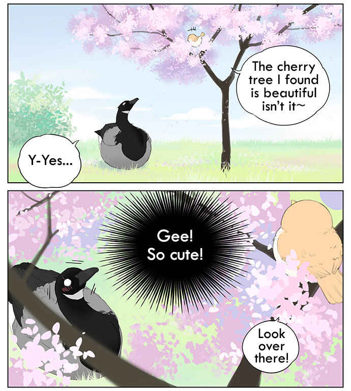 Southern Bird and Northern Bird Chapter 39 - Page 2