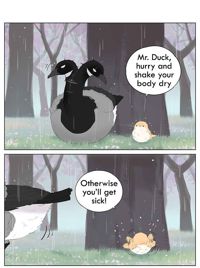 Southern Bird and Northern Bird Chapter 39 - Page 5