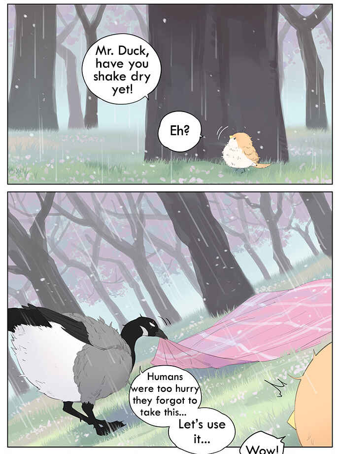 Southern Bird and Northern Bird Chapter 39 - Page 6