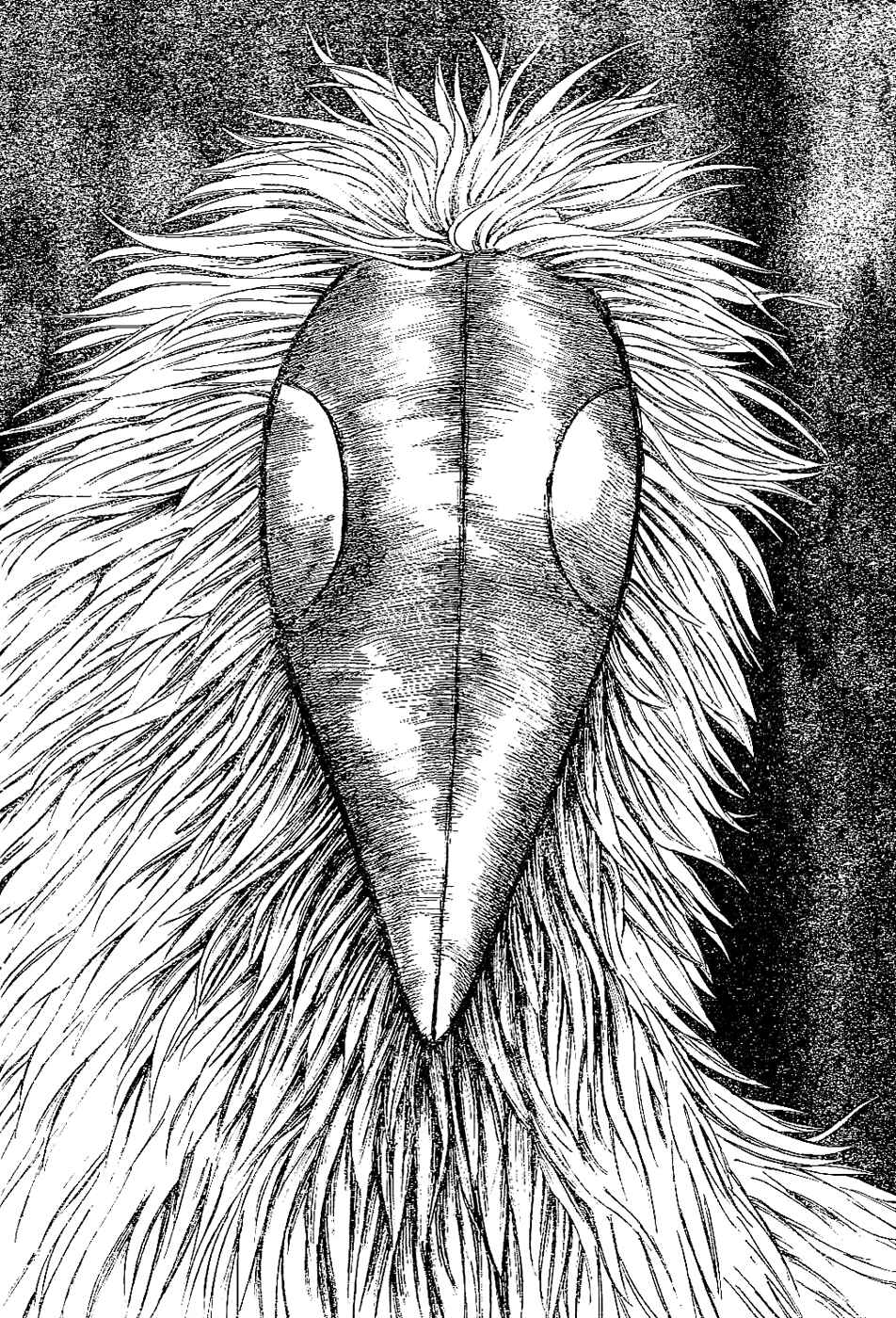 TORIKO Chapter 18 - Page 4