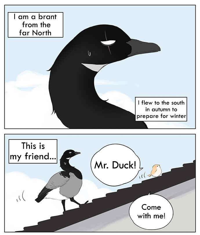 Southern Bird and Northern Bird Chapter 38 - Page 1
