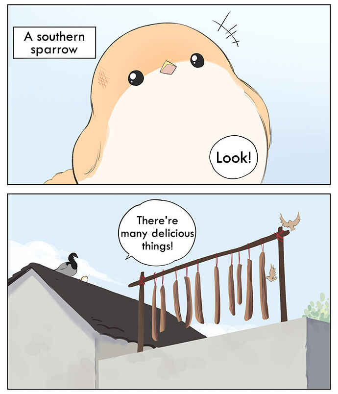 Southern Bird and Northern Bird Chapter 38 - Page 2