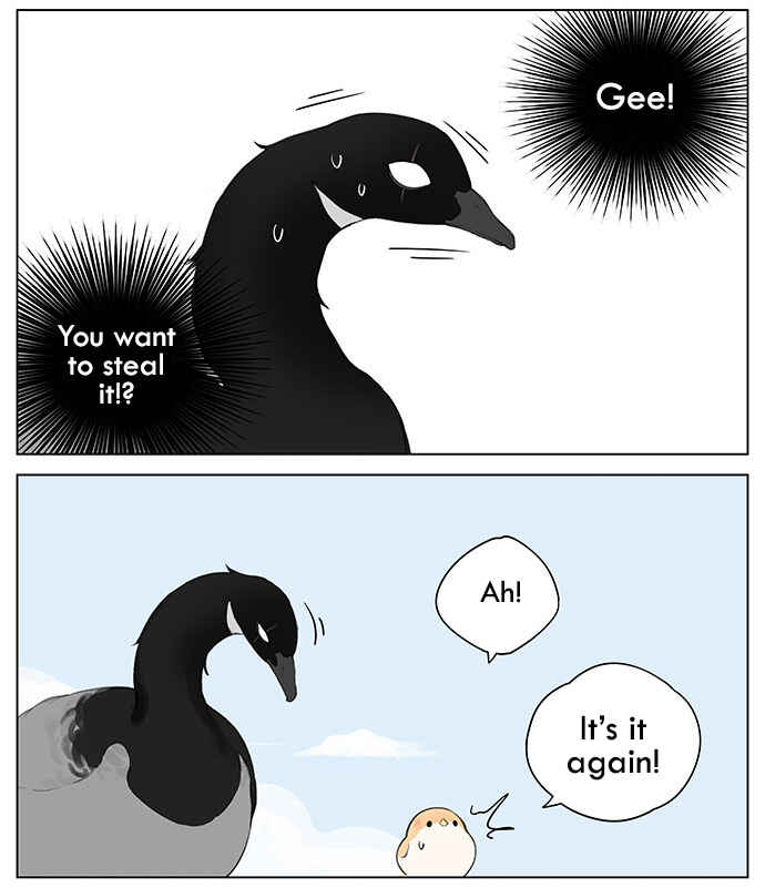 Southern Bird and Northern Bird Chapter 38 - Page 3