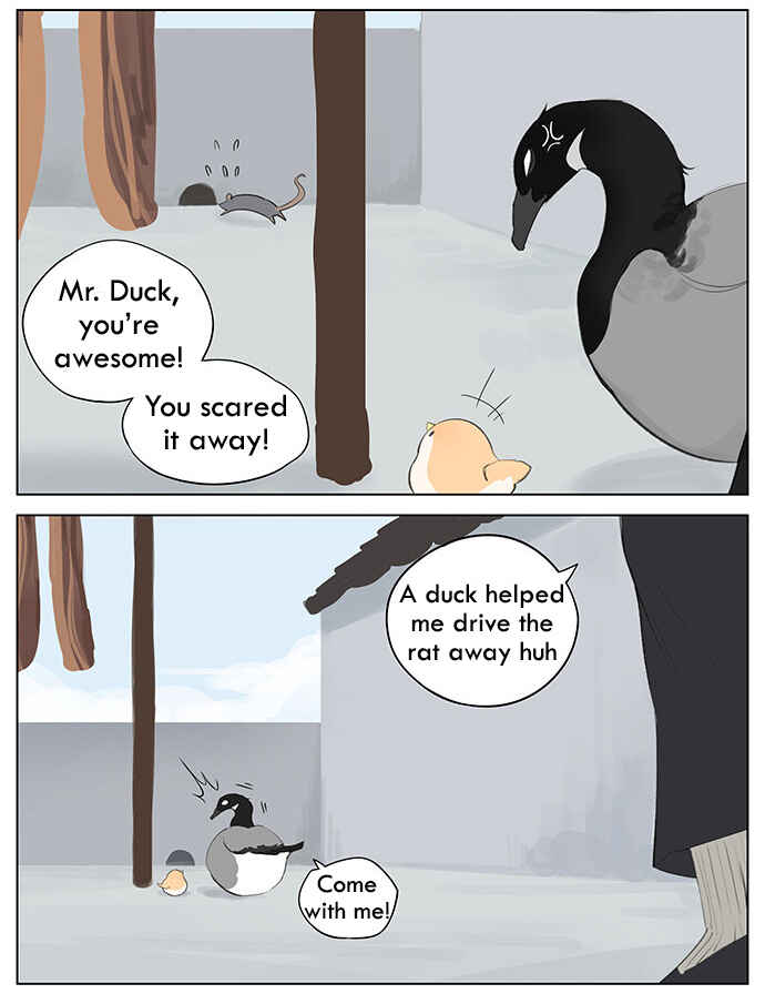 Southern Bird and Northern Bird Chapter 38 - Page 6