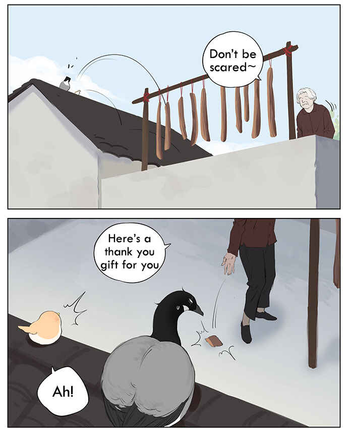 Southern Bird and Northern Bird Chapter 38 - Page 7