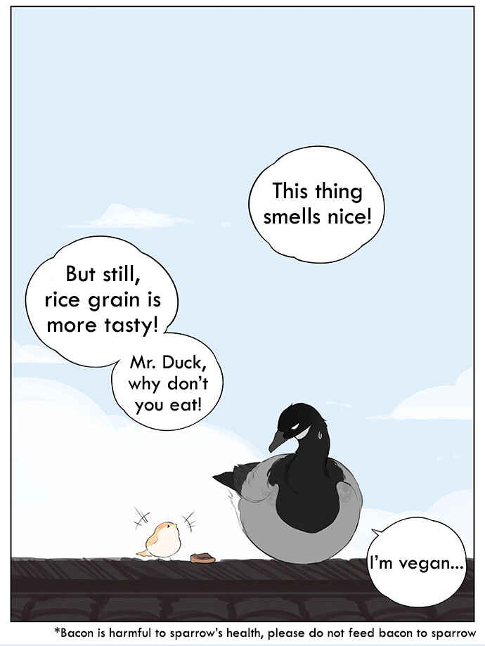 Southern Bird and Northern Bird Chapter 38 - Page 8