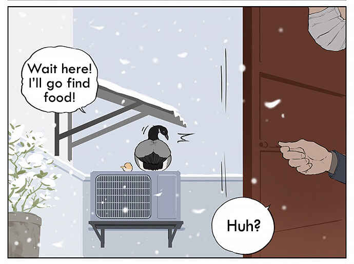 Southern Bird and Northern Bird Chapter 30 - Page 5